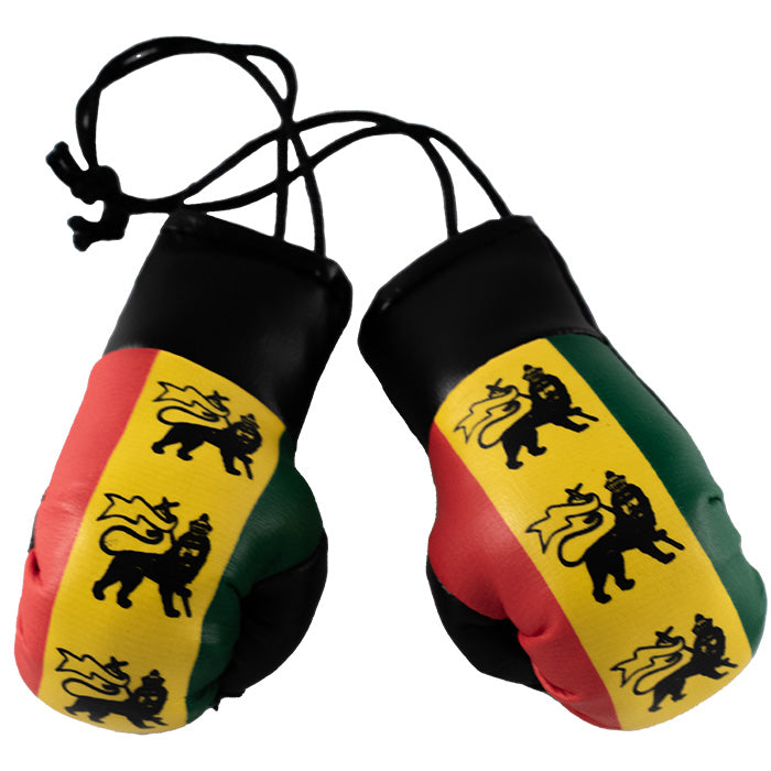 Mini Boxing Gloves - Rasta