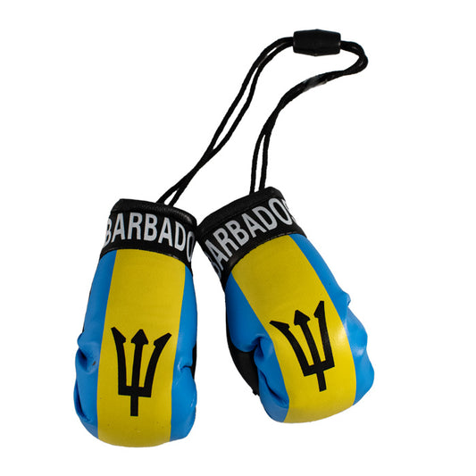 Mini Boxing Gloves - Barbados