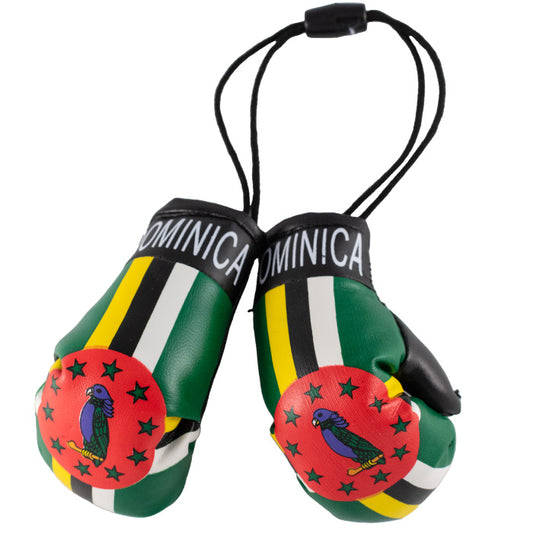 Mini Boxing Gloves - Dominica