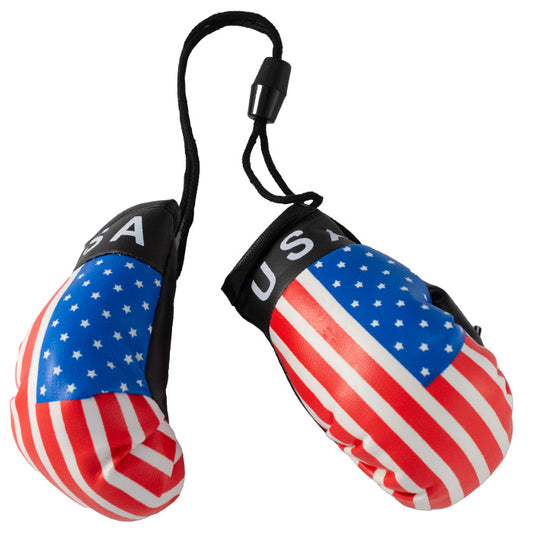 Mini Boxing Gloves - USA