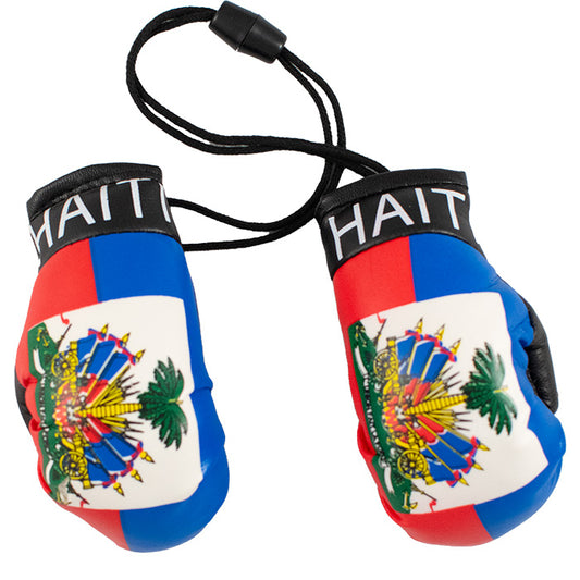 Mini Boxing Gloves - Haiti